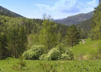 Земельный участок на продажу, 12 сот., село Чемал