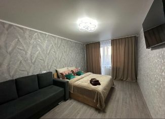 Аренда 1-комнатной квартиры, 47 м2, Челябинская область, улица Курчатова, 19А
