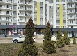 Продается 2-комнатная квартира, 61 м2, Пенза, жилой комплекс Арбековская Застава, с11, Октябрьский район