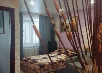 Сдается 1-комнатная квартира, 30 м2, Нижний Новгород, Московское шоссе