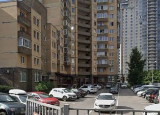 Сдача в аренду 2-комнатной квартиры, 44 м2, Санкт-Петербург, проспект Луначарского, 54