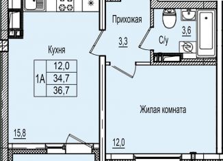 1-комнатная квартира на продажу, 36.7 м2, деревня Борисовичи, Завеличенская улица, 16