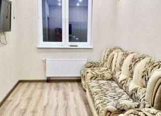 Продажа 1-ком. квартиры, 25.8 м2, Татарстан, Тэцевская улица