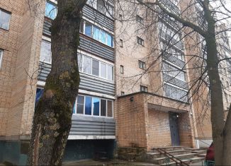 Продажа двухкомнатной квартиры, 50 м2, Московская область, улица Чехова, 2