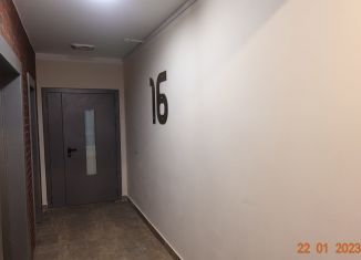 Сдам 1-комнатную квартиру, 39 м2, Московский, улица Москвитина, 3к2