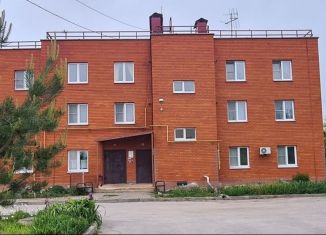Продаю 1-комнатную квартиру, 33 м2, село Боринское, улица Дзержинского, 16А