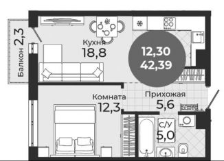 Продам двухкомнатную квартиру, 42.4 м2, Новосибирск, метро Студенческая