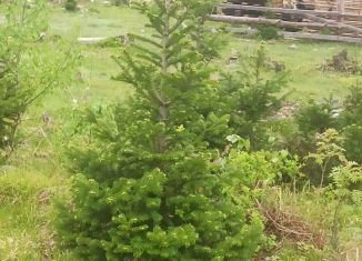 Продажа участка, 10 сот., село Турочак, Ключевая улица