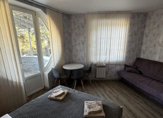 Двухкомнатная квартира в аренду, 43 м2, Краснодарский край, улица Ленина, 17