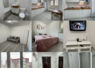 Сдача в аренду двухкомнатной квартиры, 40 м2, Краснодар, Душистая улица