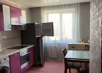 Аренда 3-ком. квартиры, 80 м2, Красноярск, улица Молокова, Советский район