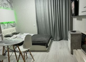 Сдается в аренду квартира студия, 25 м2, Краснодарский край, улица Котанова, 2