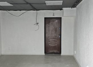 Сдам помещение свободного назначения, 25 м2, Краснодар, улица Леваневского, 187, микрорайон Центральный