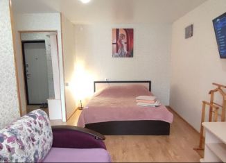 Сдам 1-ком. квартиру, 30 м2, Пермский край, улица Культуры, 6