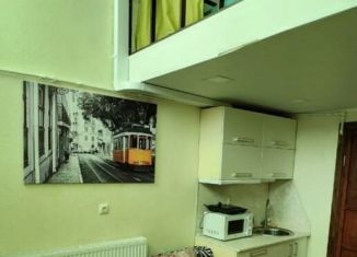Квартира в аренду студия, 28 м2, Челябинская область, улица Горького, 19