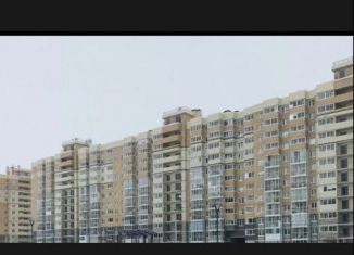 Сдаю в аренду 1-комнатную квартиру, 30 м2, Ленинградская область, Голландская улица, 10