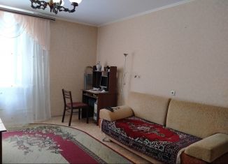 1-комнатная квартира в аренду, 45 м2, Нижегородская область, Тонкинская улица, 1А