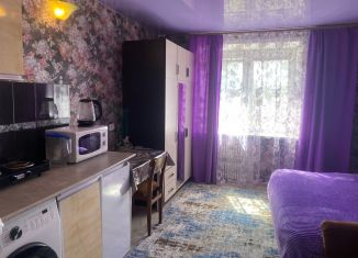 Сдается 1-ком. квартира, 21 м2, Тамбов, улица Рылеева, 77