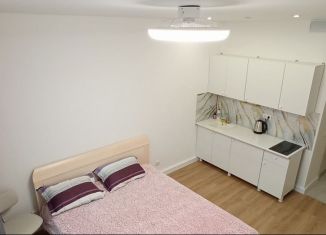 Аренда квартиры студии, 20 м2, Москва, жилой комплекс Амурский Парк, 1.2, район Гольяново