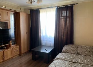 Сдаю в аренду 1-комнатную квартиру, 28 м2, Санкт-Петербург, Ленинский проспект, 134, Кировский район