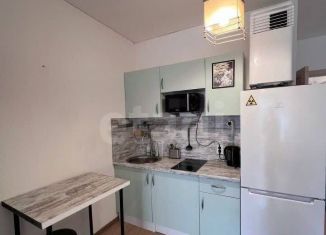 Сдается квартира студия, 25 м2, Санкт-Петербург, проспект Ветеранов, 175к4, Красносельский район