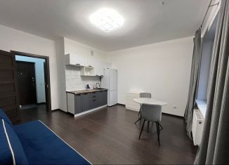 Аренда квартиры студии, 25 м2, Санкт-Петербург, Верхне-Каменская улица, 9к1, муниципальный округ Коломяги