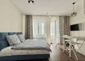 Сдам квартиру студию, 25 м2, Санкт-Петербург, Плесецкая улица, 20к2, муниципальный округ Коломяги