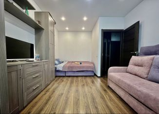 Сдача в аренду однокомнатной квартиры, 32 м2, Мурино, улица Шувалова, 27/7, ЖК Гринландия-2