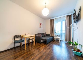 Квартира в аренду студия, 27 м2, Санкт-Петербург, Плесецкая улица, 20к1, муниципальный округ Коломяги