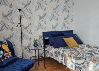 Сдается в аренду однокомнатная квартира, 60 м2, Республика Башкортостан, улица Цюрупы, 77