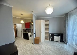 Аренда квартиры студии, 30 м2, Санкт-Петербург, Ленинский проспект, 114, Кировский район