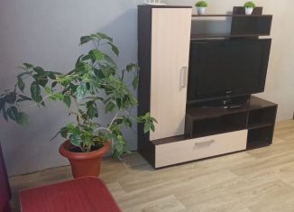 Сдаю в аренду 3-комнатную квартиру, 64 м2, Свердловская область, улица Попова, 73