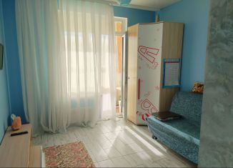 Квартира в аренду студия, 40 м2, Санкт-Петербург, Планерная улица, 87к1, метро Комендантский проспект