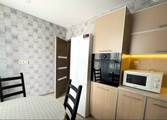 Сдам в аренду однокомнатную квартиру, 44 м2, Нижний Новгород, улица Родионова, 191к1, Нижегородский район