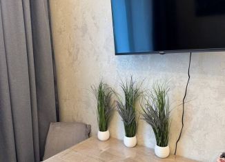 Сдается в аренду квартира студия, 20 м2, Москва, Солнечногорская улица, 7к1, САО