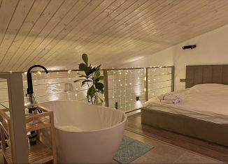 Квартира в аренду студия, 55 м2, Саратов, улица имени А.С. Пушкина, 5