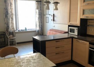 Сдам 1-ком. квартиру, 50 м2, Санкт-Петербург, улица Композиторов, 12, Выборгский район