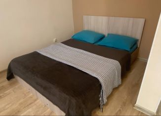 Сдаю в аренду квартиру студию, 39.4 м2, Екатеринбург, улица Циолковского, 29, ЖК Времена Года