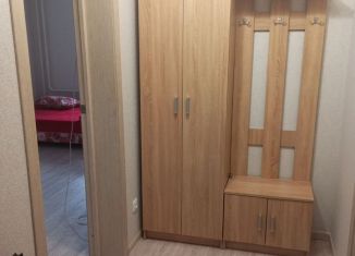 Аренда квартиры студии, 24 м2, Ростов-на-Дону, улица Юрия Дубинина, 13, ЖК Суворовский