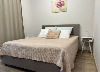 Сдается в аренду квартира студия, 30 м2, Екатеринбург, Новосинарский бульвар, 7