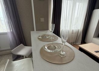 Сдаю в аренду квартиру студию, 43 м2, Саратов, улица имени И.В. Мичурина, 182/20