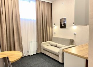 Продам квартиру студию, 15.4 м2, Чита, улица Ленина, 151к1