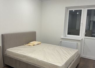 Сдается в аренду однокомнатная квартира, 45 м2, Ростов-на-Дону, улица Нансена, 103/1/5, ЖК Звезда Столицы