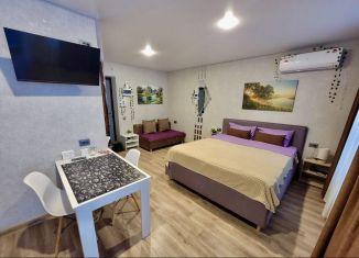 Аренда квартиры студии, 22.9 м2, поселок городского типа Стройкерамика, улица Академика Дмитрия Козлова, 16