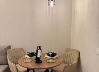 Сдается квартира студия, 27 м2, Ростов-на-Дону, улица 26-я Линия