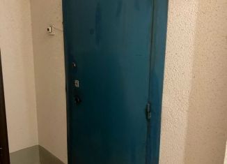 Сдаю в аренду 2-ком. квартиру, 55 м2, Санкт-Петербург, улица Савушкина, 122к2