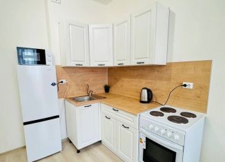 Сдается в аренду квартира студия, 35 м2, Екатеринбург, улица Чапаева, 79