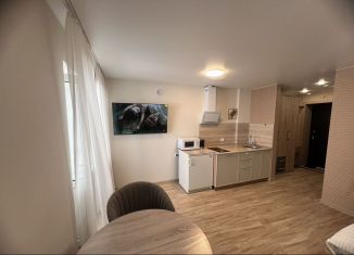 Квартира в аренду студия, 28 м2, Тобольск, 7-й микрорайон, 39Б