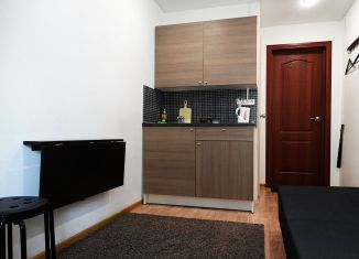 Квартира в аренду студия, 13 м2, Нижний Новгород, улица Даргомыжского, 2