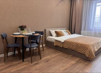 Сдача в аренду квартиры студии, 28 м2, Республика Башкортостан, Природная улица